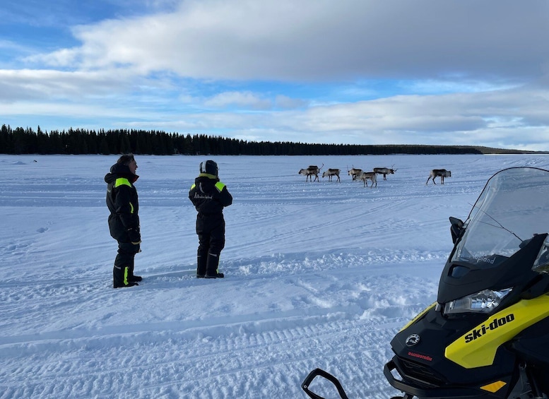 Picture 3 for Activity Kiruna: Guided Snowmobile Tour and Swedish Fika Experience