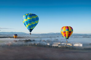 King Valley Balloon Flight meeting at Brown Brothers Milawa