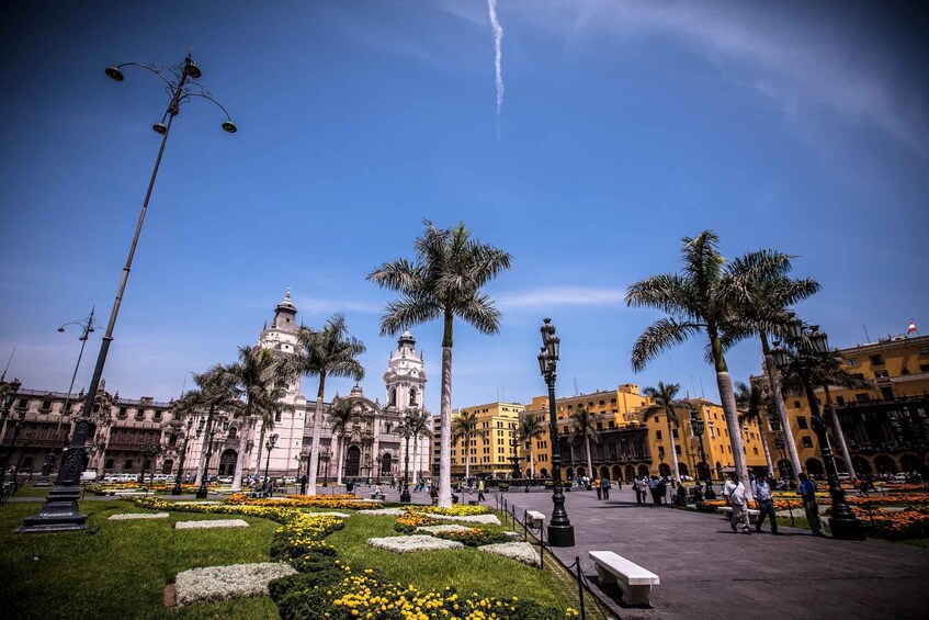 Picture 12 for Activity Lima: Lima Gastronomic Tour Including Lunch and City Tour