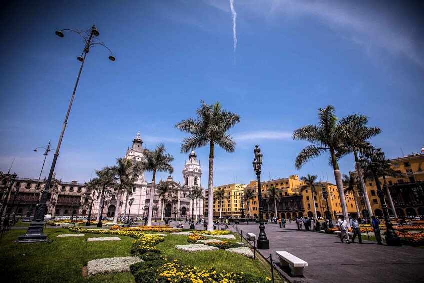 Picture 12 for Activity Lima: Lima Gastronomic Tour Including Lunch and City Tour