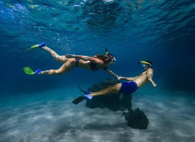 Wailea: Turtle Town Snorkeling Trip with Photo and Video