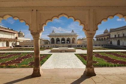 Fra Jaipur: Privat Taj Mahal- og Agra Fort-tur med lunsj