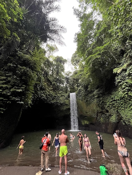 Picture 70 for Activity Ubud: Rice Terraces, Water Temple, & Waterfalls Private Tour
