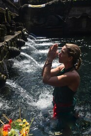 Ubud: Reisterrassen, Wassertempel und Wasserfälle Private Tour