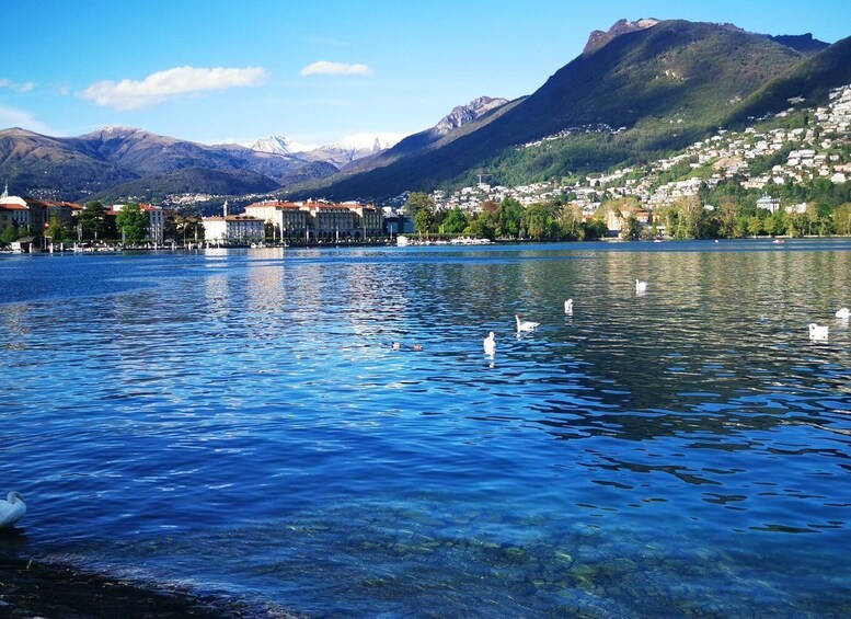 Picture 8 for Activity From Milan: Small Group Tour of Lake Como, Lugano & Pre Alps