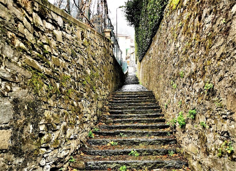 Picture 5 for Activity From Milan: Small Group Tour of Lake Como, Lugano & Pre Alps