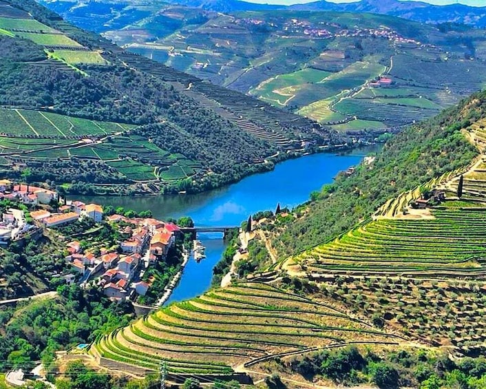 Porto: Douro Valley Private Tour 2 Vineyards & River Cruise