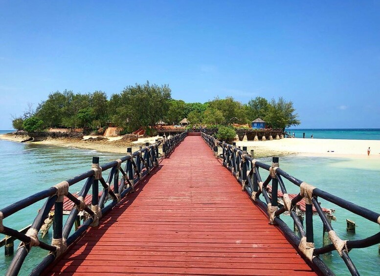 Picture 3 for Activity Mnemba Island, Prison Island, Secret Garden, Jozani Forest