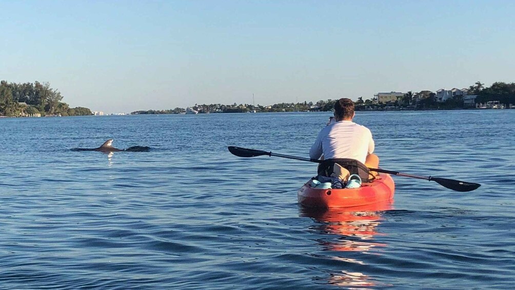 Picture 3 for Activity Anna Maria Island: The Island Kayak Tour