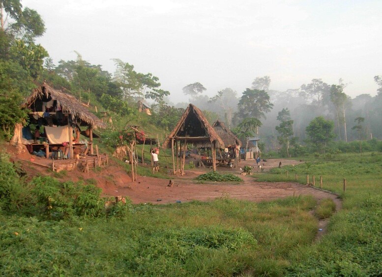 Picture 2 for Activity Tour to the indigenous communities of the Amazon Iquitos