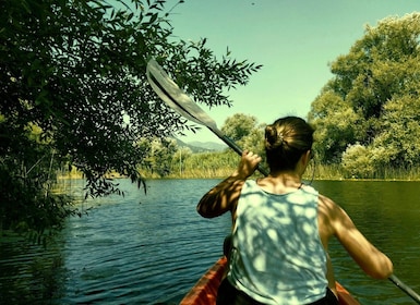 Kayak Adventure: Paddle your way through Lake Skadar