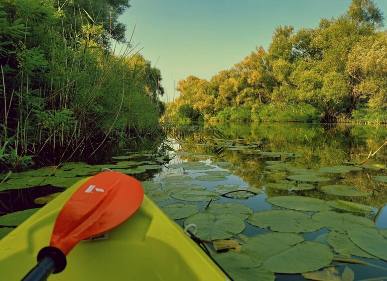 Picture 6 for Activity Kayak Adventure: Paddle your way through Lake Skadar