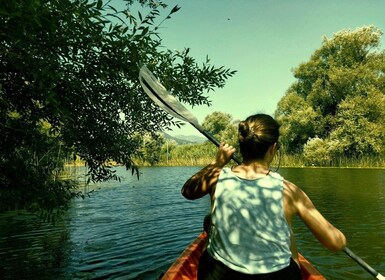 Kayak Adventure: Paddle your way through Lake Skadar