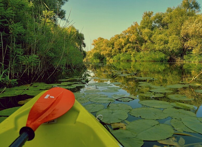 Picture 6 for Activity Kayak Adventure: Paddle your way through Lake Skadar