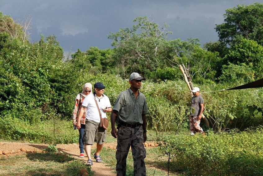 Picture 4 for Activity SL : 2 Nights Luxury Wild Experience in Leopard Nest Yala