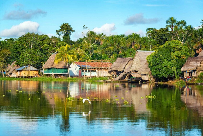 From Leticia: Amazonas Three Borders 3-Day Tour