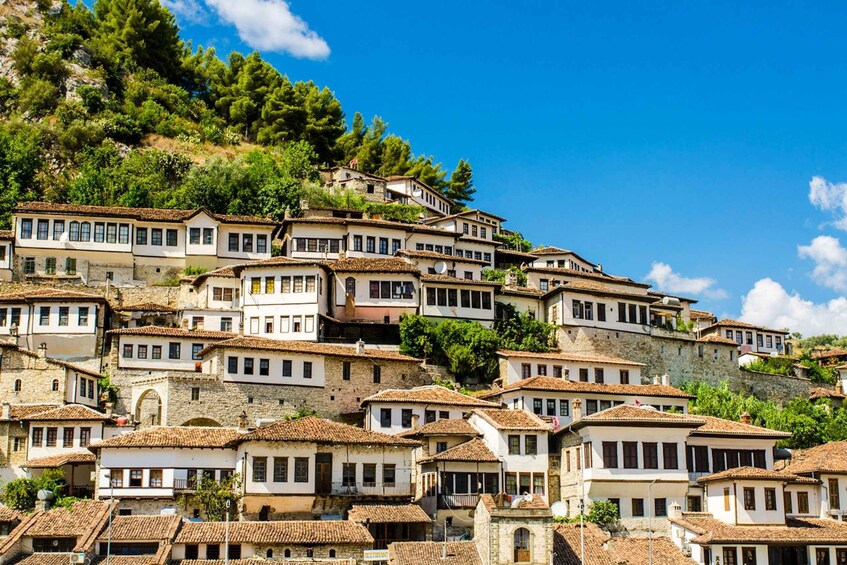 Picture 4 for Activity Private Berat Sightseeing Full Day Tour