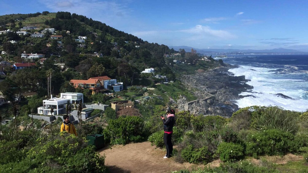 Picture 7 for Activity Penguins Watching Cachagua Island in Zapallar From Santiago