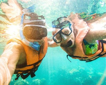 Panglao: Snorkelling at NapalingReef with Sardines Experience