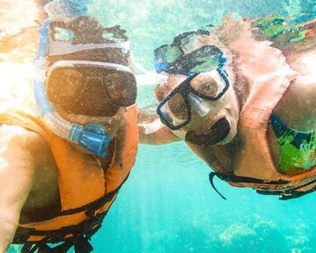 Panglao: Snorkelling at NapalingReef with Sardines Experience