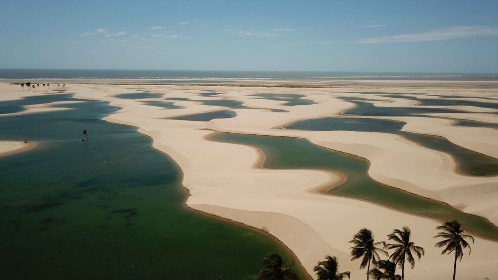 Picture 3 for Activity Barreirinhas: Santo Amaro and Lencois Maranhenses Park Tour