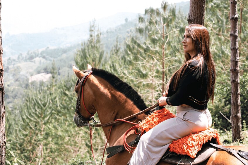 Picture 15 for Activity From Medellin: 100-Year-Old Finca Horseback Riding & More