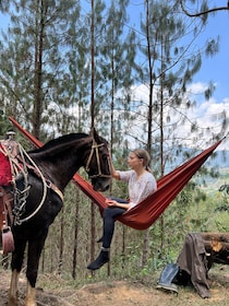 From Medellin: 100-Year-Old Finca Horseback Riding & More