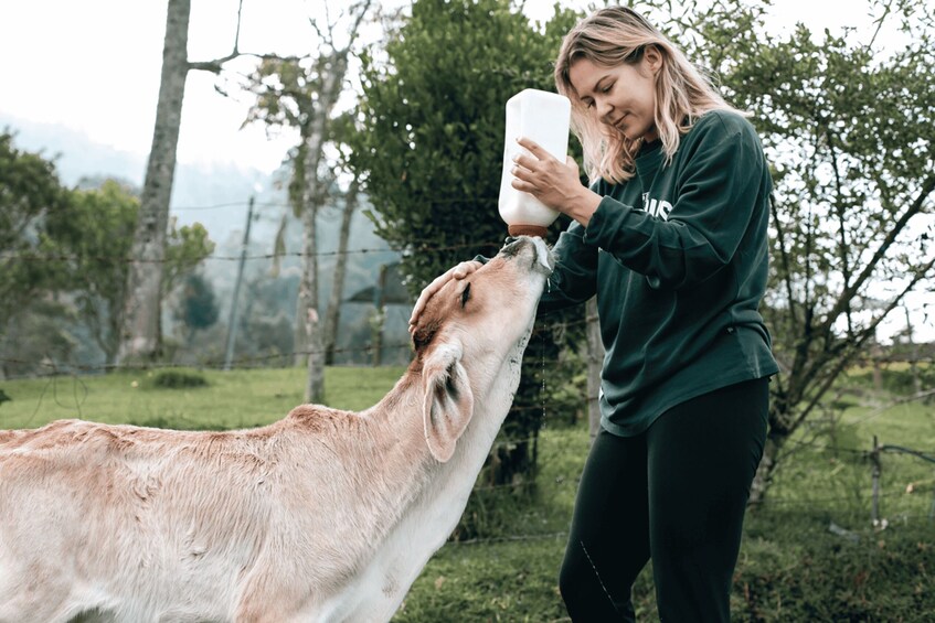 Picture 1 for Activity From Medellin: 100-Year-Old Finca Horseback Riding & More