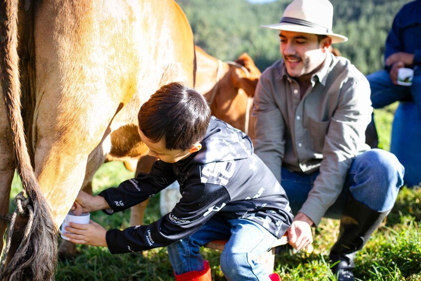 Picture 10 for Activity From Medellin: 100-Year-Old Finca Horseback Riding & More