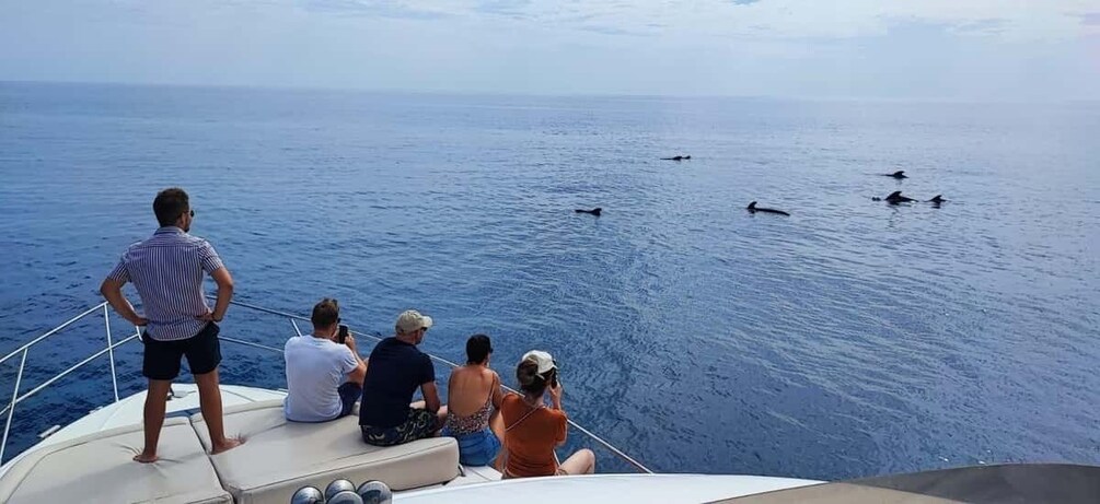 Picture 13 for Activity Tenerife: Whales and Snorkeling Tour on a Luxury Yacht