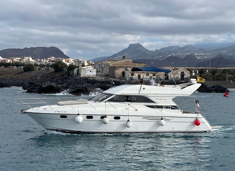 Picture 10 for Activity Tenerife: Whales and Snorkeling Tour on a Luxury Yacht