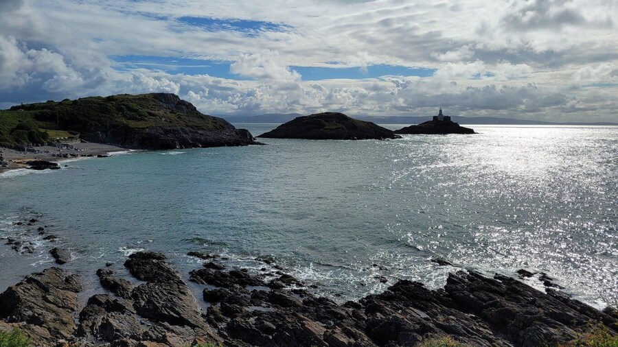 From Cardiff: The Wandering Bard's Swansea Bay Day Tour