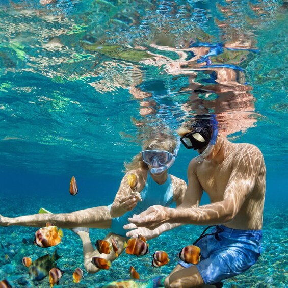 Picture 4 for Activity Dimaniyat Island Tour with Snorkeling