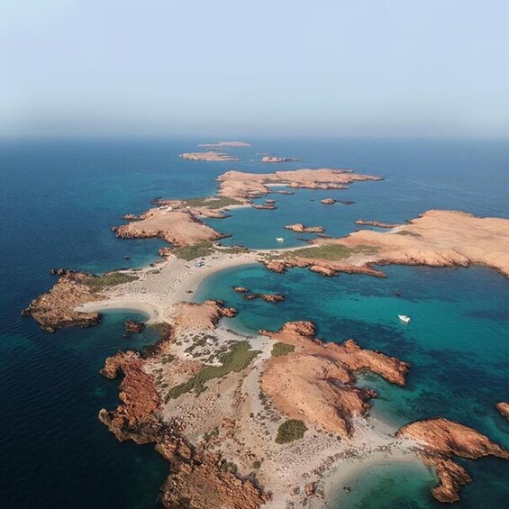 Picture 3 for Activity Dimaniyat Island Tour with Snorkeling