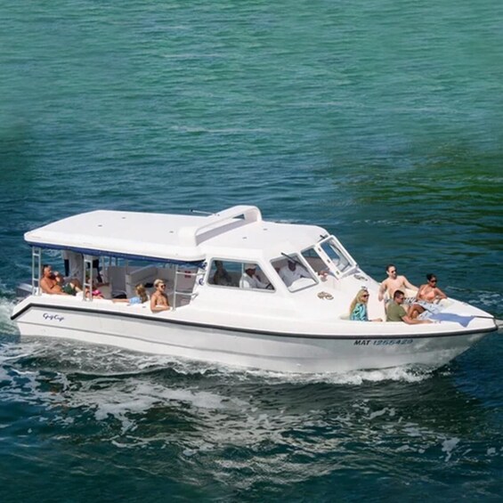 Dimaniyat Island Tour with Snorkeling