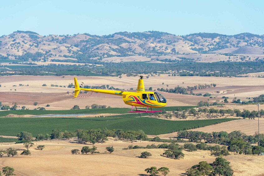 Picture 3 for Activity Lyndoch: Barossa Valley Helicopter Flight & Romantic Picnic