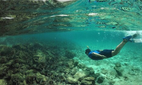 Hele dag Pinzon Island, eindigend in la Fe met snorkelen