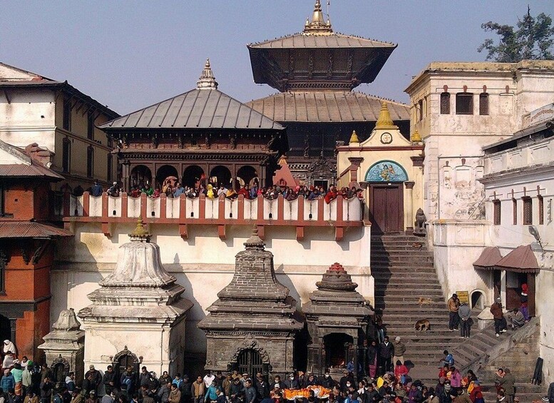 Picture 2 for Activity Kathmandu Sightseeing By Bus Day Trip