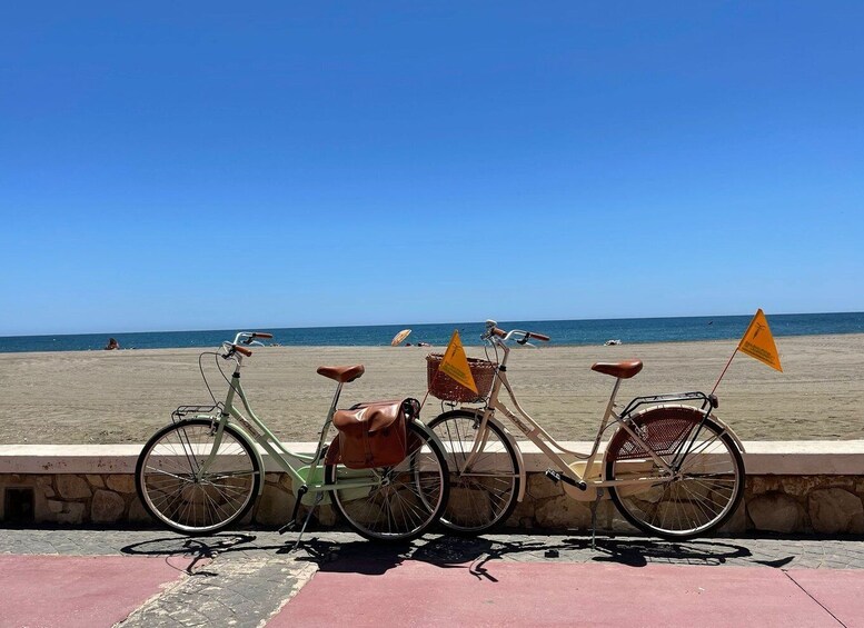 Picture 3 for Activity Malaga: Bike Rental for City Discovery Route & Beaches