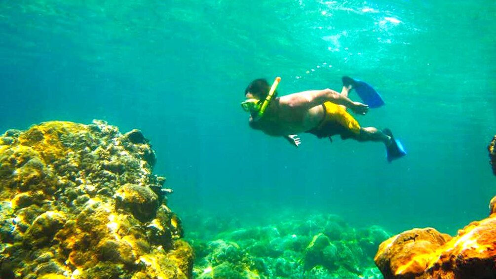 A snorkeler swimming above a coral reef