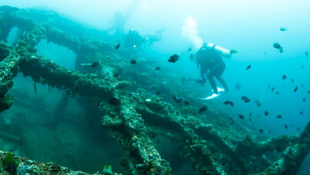 Diver swims in a wrecked ship