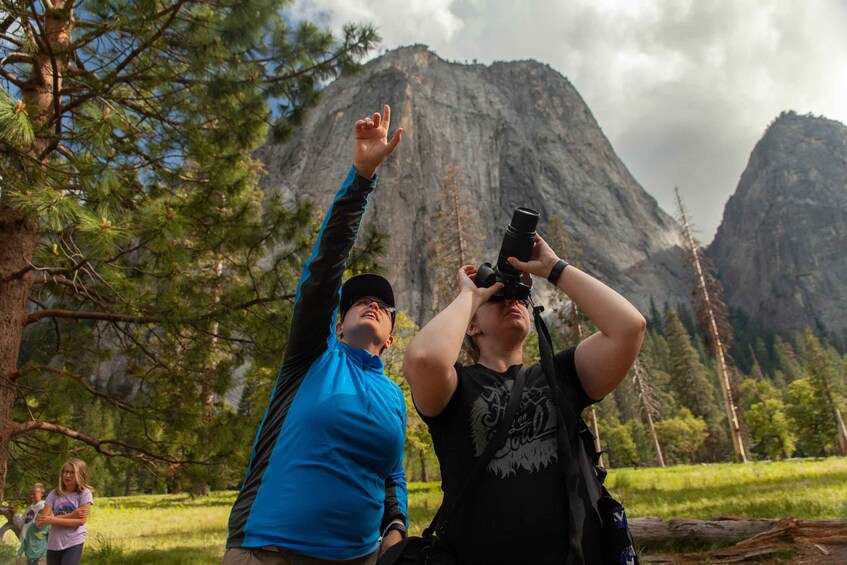 Guided Small Group High Country / Mariposa Tour