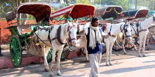 Tajmahal excursion avec Tuktuk, Camel et Horse cart