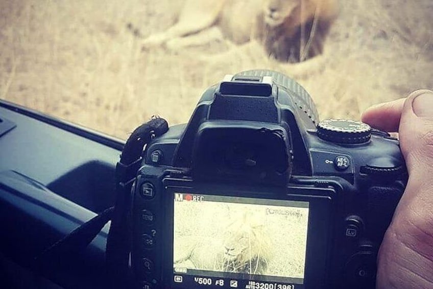Kruger national Park Big Cat Photography tour