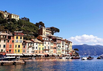 Recorrido privado a pie por Portofino