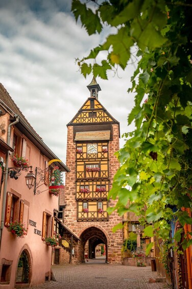 Picture 2 for Activity From Colmar: Alsace wine route tour Full Day