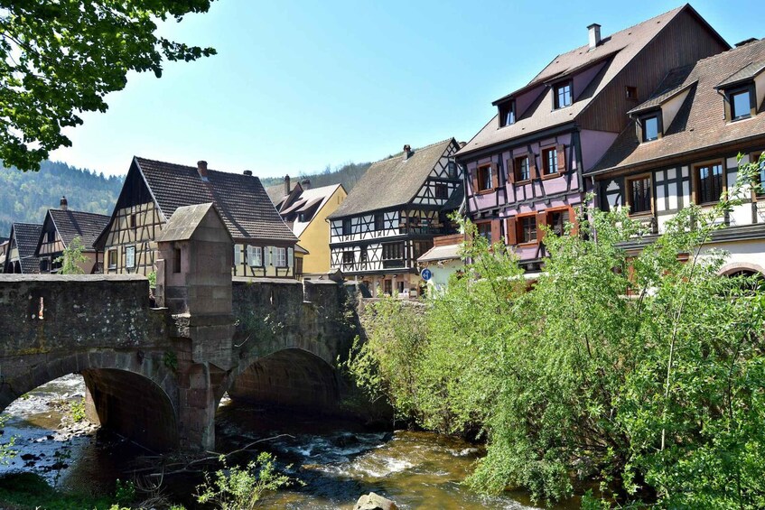 Picture 3 for Activity From Colmar: Alsace wine route tour Full Day