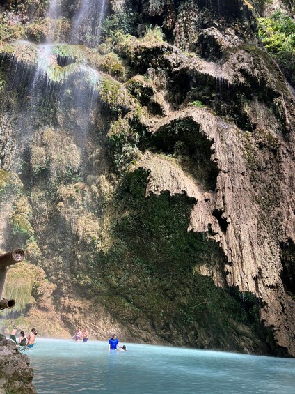 Picture 9 for Activity From Cebu: Oslob Whale Shark Snorkeling & Tsumalog Waterfall