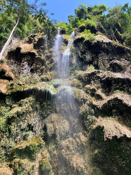 Picture 10 for Activity From Cebu: Oslob Whale Shark Snorkeling & Tsumalog Waterfall