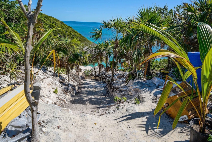 Picture 77 for Activity Nassau: 3 Islands Tour, Snorkel, Pig Beach, Turtles & Lunch